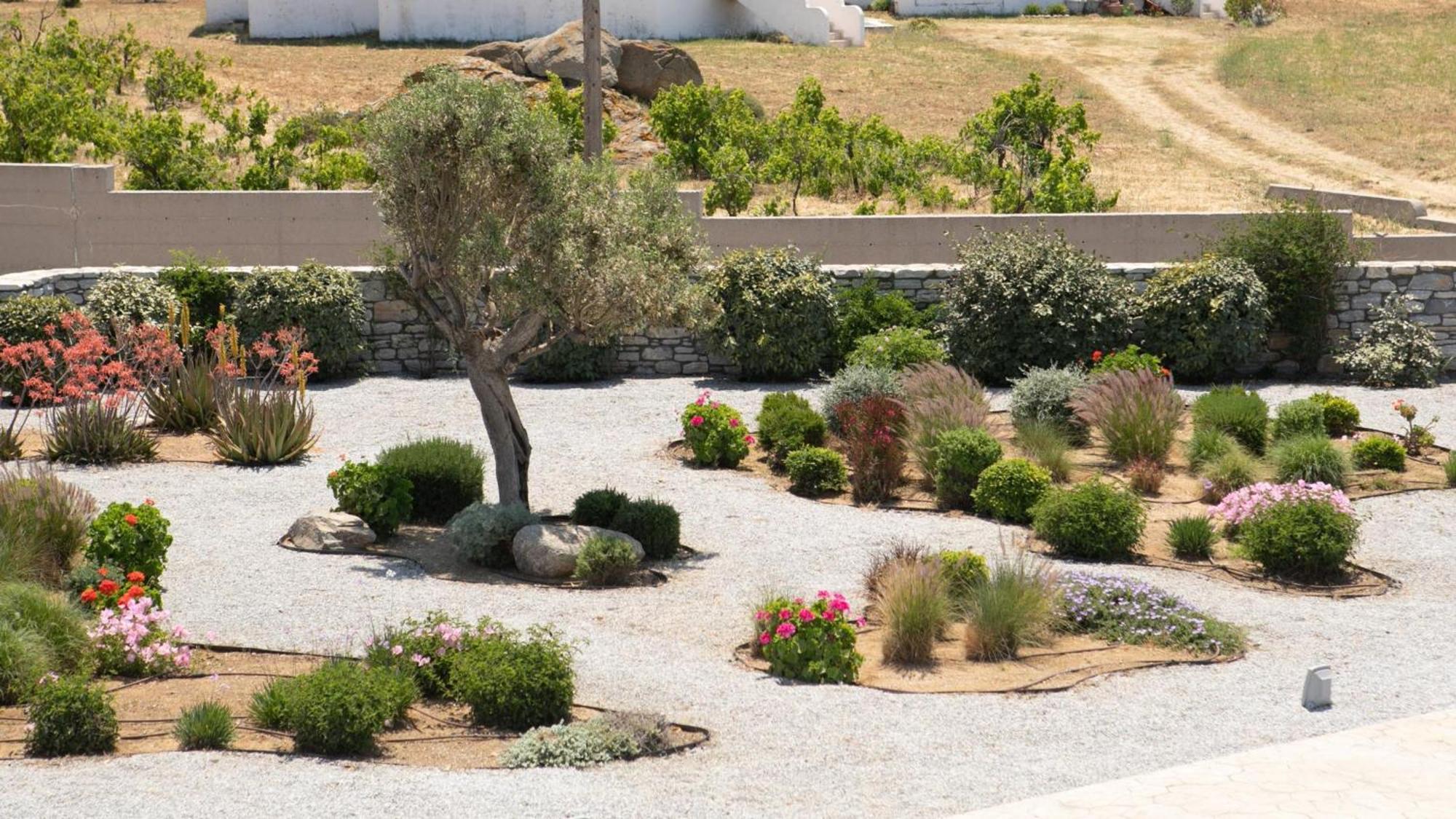 Olives Rocks Naxian Villas Agia Anna  Exteriér fotografie