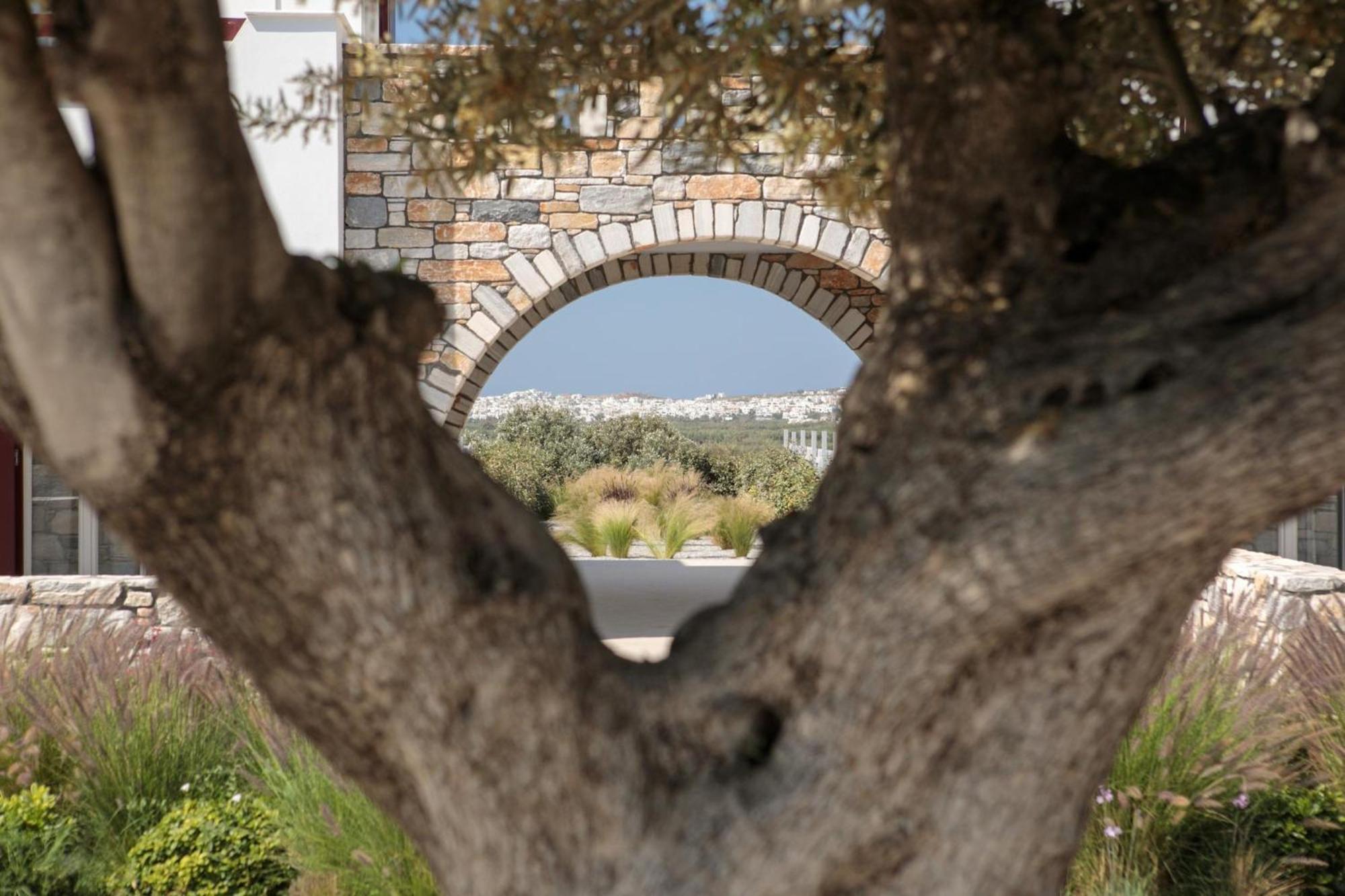 Olives Rocks Naxian Villas Agia Anna  Exteriér fotografie